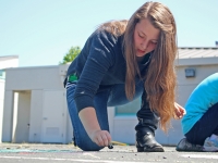 drawingonearth_chalkdrawing_bayfarm09