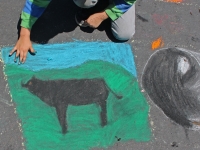 drawingonearth_chalkdrawing_bayfarm13