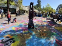 zoo22_01a