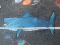 orca_chalk_drawingonearth07
